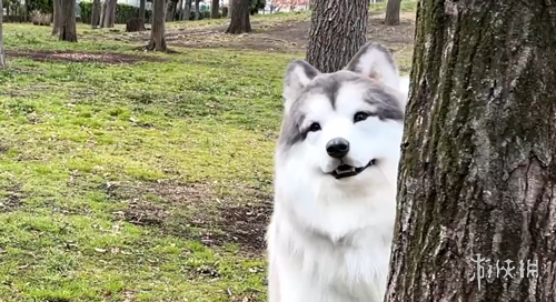 开云体育官,网下载,资讯,开云体育,开云体育官网,开云体育app,开云体育平台,KAIYUN,SPORTS,kaiyun登录入口