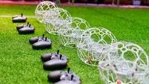 开云体育官网下载 产品 134504 795