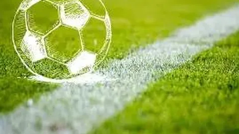 开云体育官网下载 产品 135905 p6p