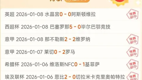 莱比锡VS沃尔夫斯堡 第29轮德甲对决